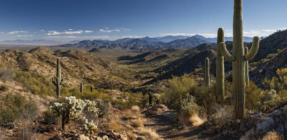 American southwest desert with desert valley panorama saguaro cactus mild desert winter American southwest desert with desert valley panorama saguaro cactus mild desert winter